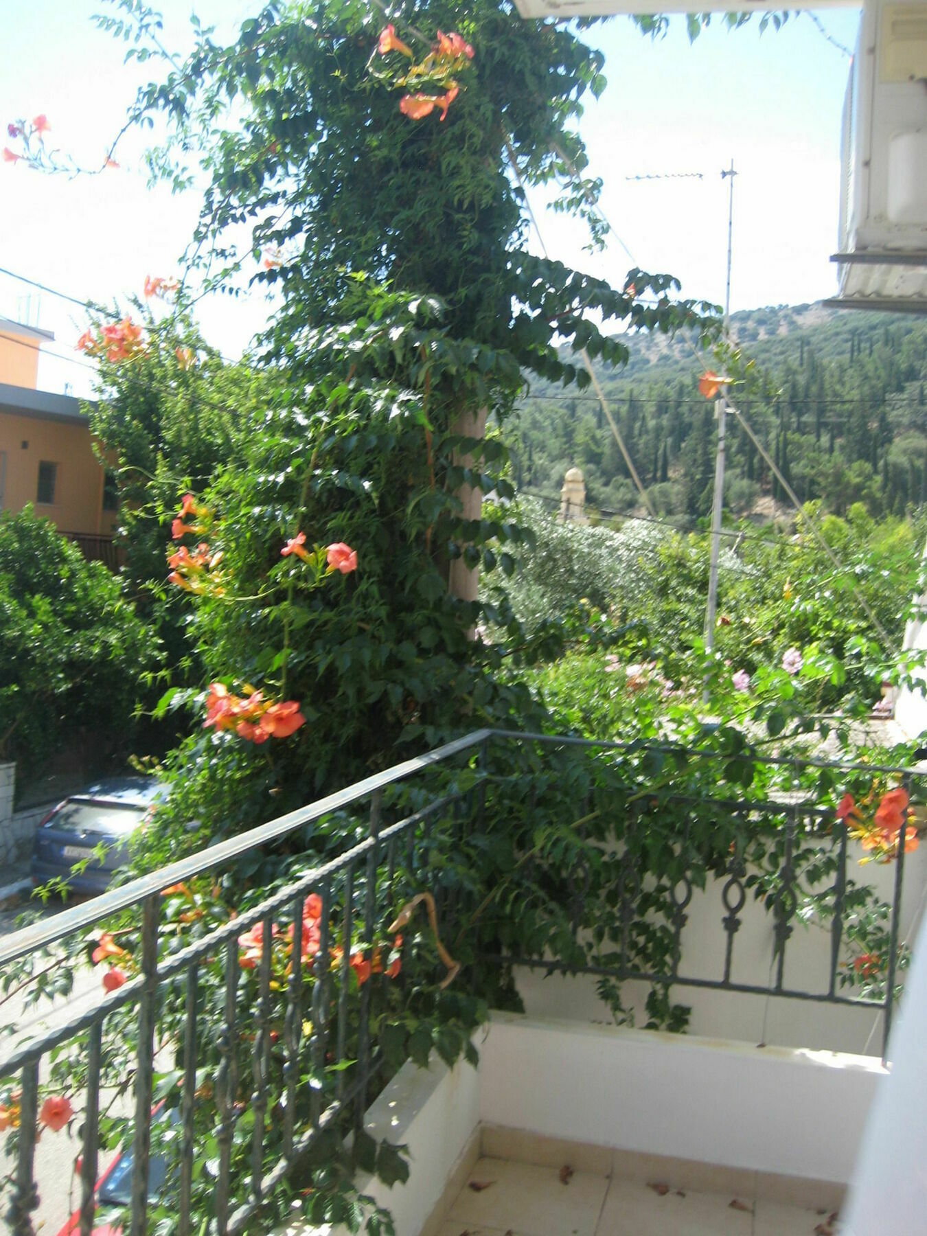 Giannos Apartments Agia Efimia Eksteriør bilde